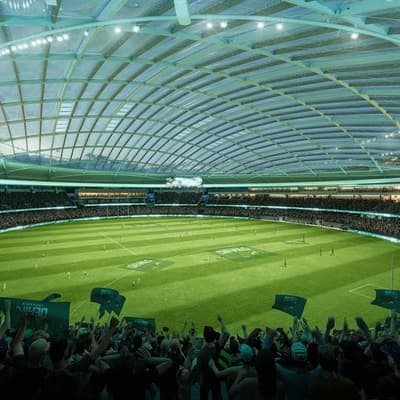 Stadium delay 'no surprise': Tasmania Devils CEO