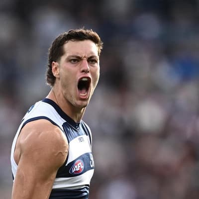 Scott hails Cats' belief as Neale stars in comeback win