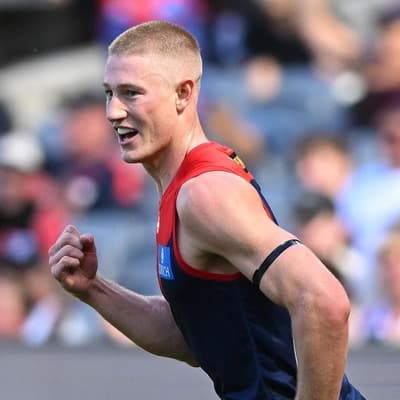 Dees usher in new era as van Rooyen hits Saints for six