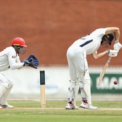 Kellaway's bat hunts down South Australia's total