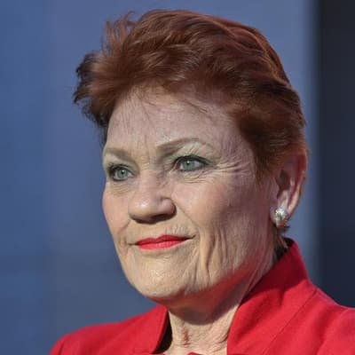 Hanson's claim about non-citizens on local councils is wrong
