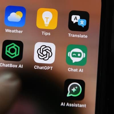 Past disruptions show Australian workers can weather AI