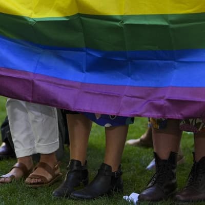 'Bait and bash' laws welcomed but more action wanted