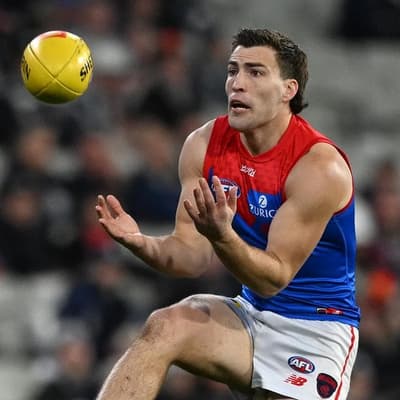 Injured vice-captain buoyed by new-look Dees' hot start