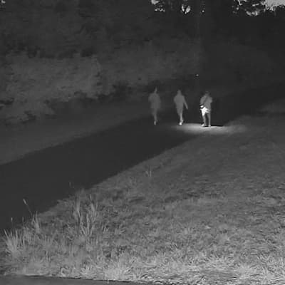 New CCTV released over grandfather's alleged murder