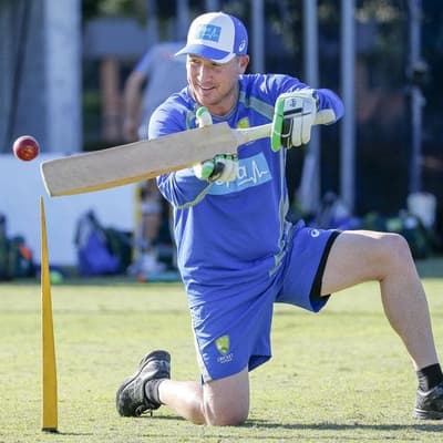 Blues back in the Test team Haddin's main coaching goal