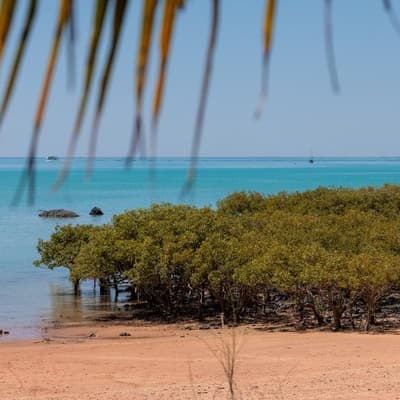 Passengers injured after light plane crashes into bay