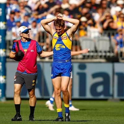 Eagles defender Harry Edwards to take concussion break