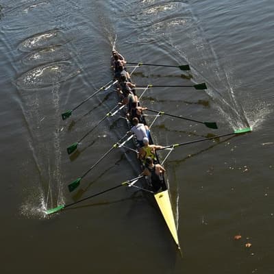 Croc and elephant fears lurk over Olympic rowing venue