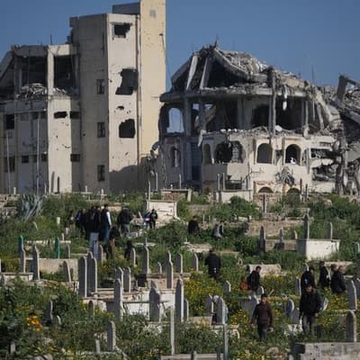 Board of Peace aims to disarm Hamas over eight months