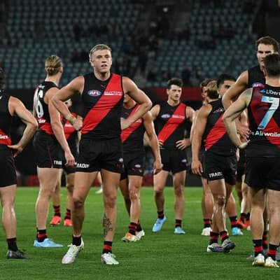 Essendon fans warned to brace for 'short-term pain'