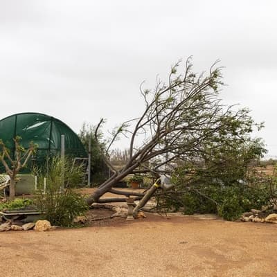 'Pretty devastating': tourism hit by rare cyclone