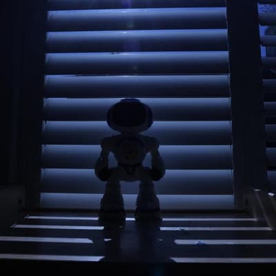 Robotics investment could create human jobs bonanza