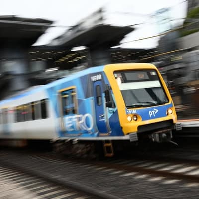 'Dog's breakfast': commuter fears over free transport