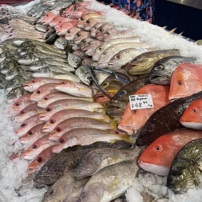 Fishing ban plan political and unscientific, court told