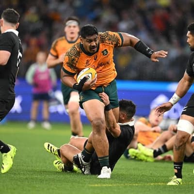 'See you next year': bad news from injured key Wallaby