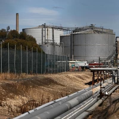 Caps on gas, coal costs on the cards if prices soar