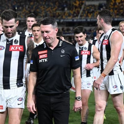 'We got exposed': Magpies lick wounds, wait on Daicos