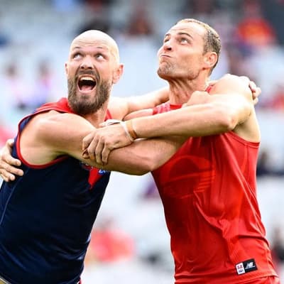 Demons on the rise as skipper Gawn leads upset of Suns