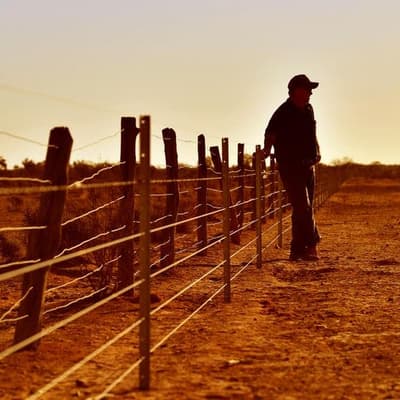Red tape delays mental health care for rural Aussies