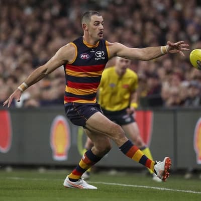 'Find a solution': Crows great on latest umpiring error