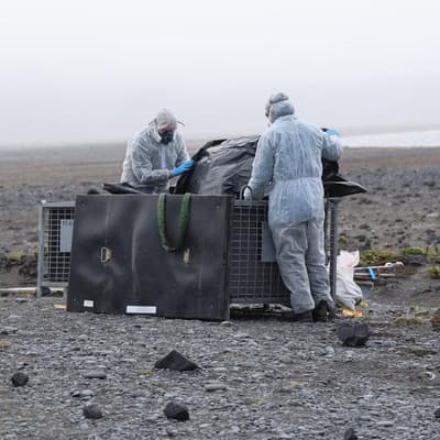 Full picture of deadly flu on island yet to be revealed