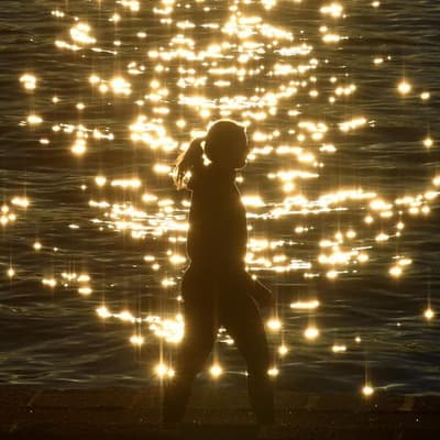 Facts over fear: data needed on brain fog in menopause