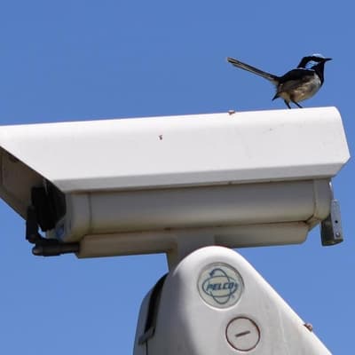 Crime fears spark home, train station safety debate