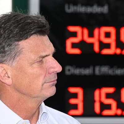 Taylor’s fuel standards claim omits context