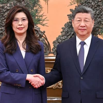 Xi reaffirms 'one China' to Taiwan opposition leader