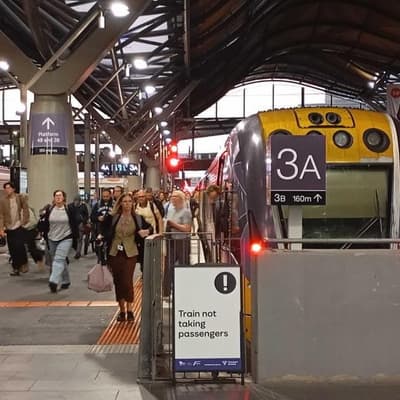 There's a problem with making public transport free