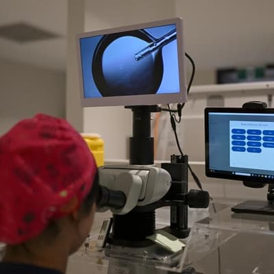 Trial to reshape 'gruelling, traumatic' IVF process