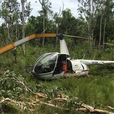 Four face charges of stealing crocodile eggs in Kakadu