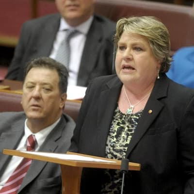 Trailblazing Labor senator hailed after sudden death