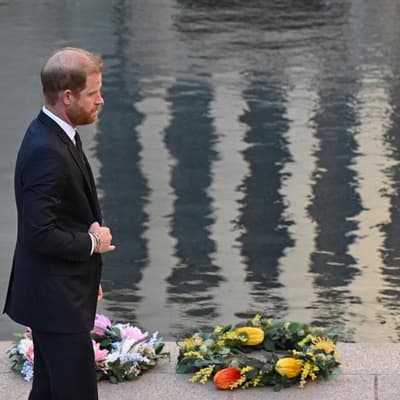 Prince Harry honours veterans during solo tour day