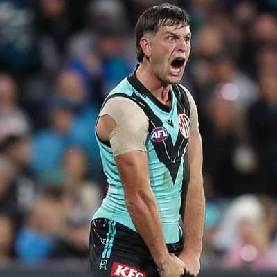 'Dubbed a liar': Port to appeal Butters verdict