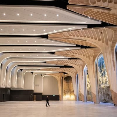 Vast arts space endures delays, shelving, grumpy locals