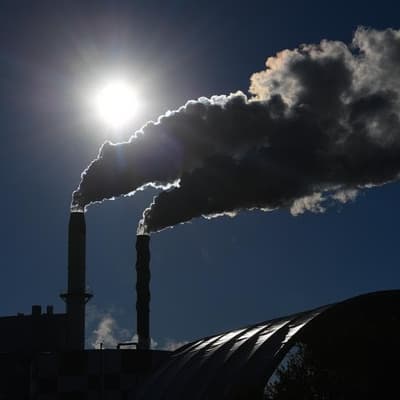Climate emitters opt for cheap offsets, few real cuts
