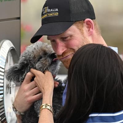 Ruff treatment for royals during day in the Sydney sun