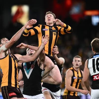 Hawks stars face match review scrutiny after tight win