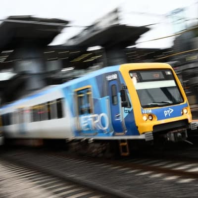 Train lines busier but no new free transport services