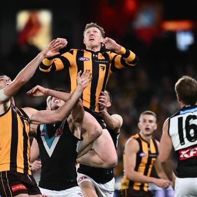 Key Hawks banned for costly gut punches