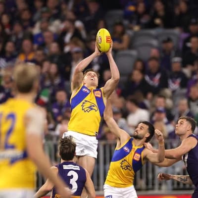 Eagles defender Edwards progressing in concussion fight