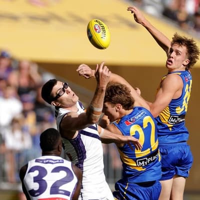 Dockers give Mason Cox 'serviceable' pass mark