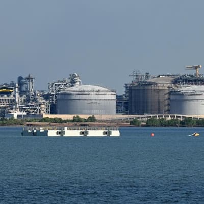 'Tiny' tax returns on gas has leading economist fuming
