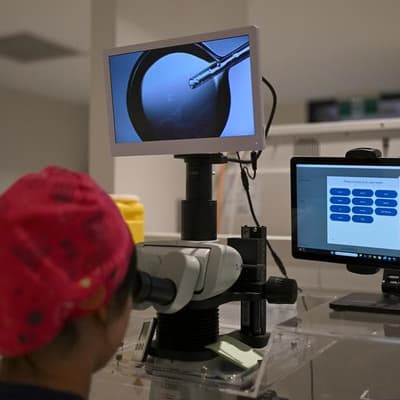 Research shows popular IVF hormone add-on may not work