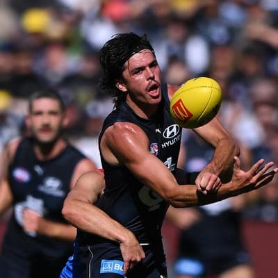 Hollands support grows as Worksafe probes Carlton