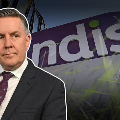 'Cuts, cuts, cuts': NDIS costs slashed in crack down