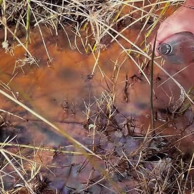 Oily orange water result of mine pollution, court told