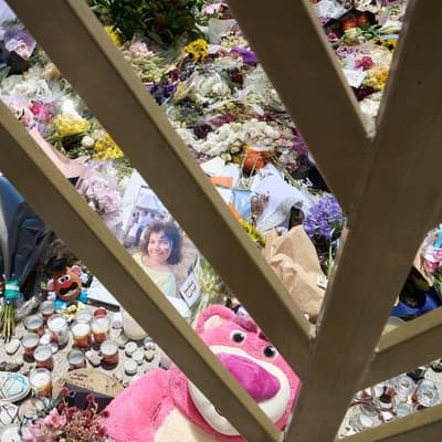 Book pulled over illustrator's Bondi massacre post